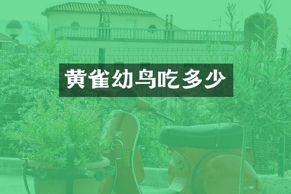 黄雀幼鸟吃多少