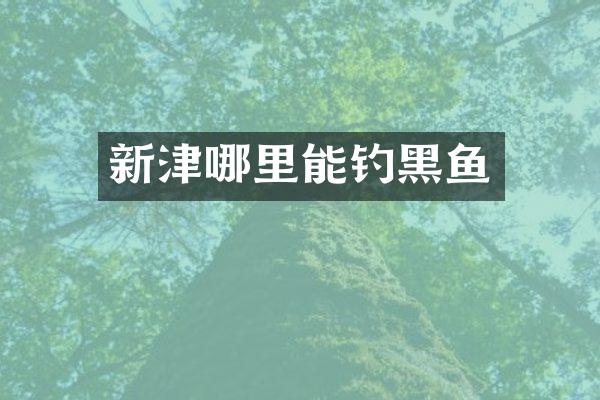 新津哪里能钓黑鱼