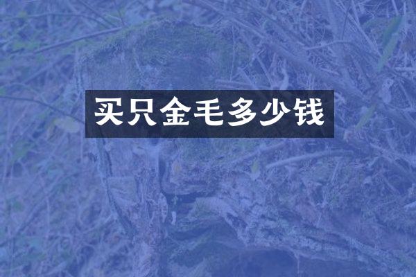 买只金毛多少钱