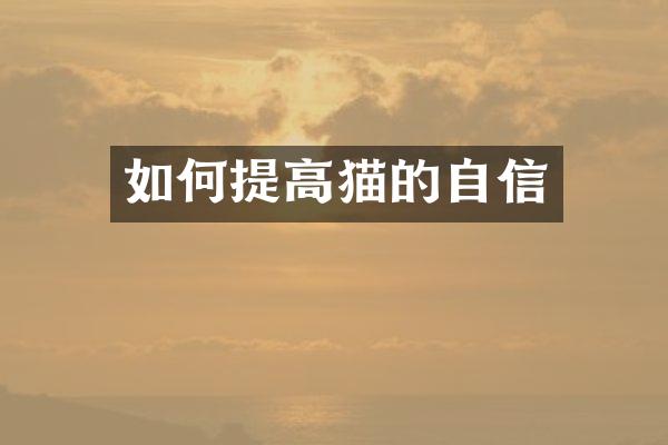 如何提高猫的自信