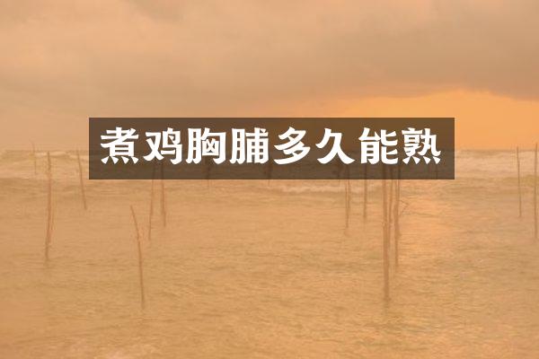 煮鸡胸脯多久能熟