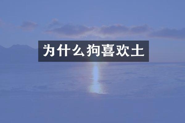 为什么狗喜欢土