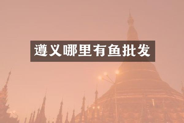 遵义哪里有鱼批发