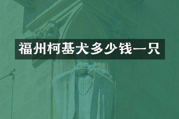 福州柯基犬多少钱一只