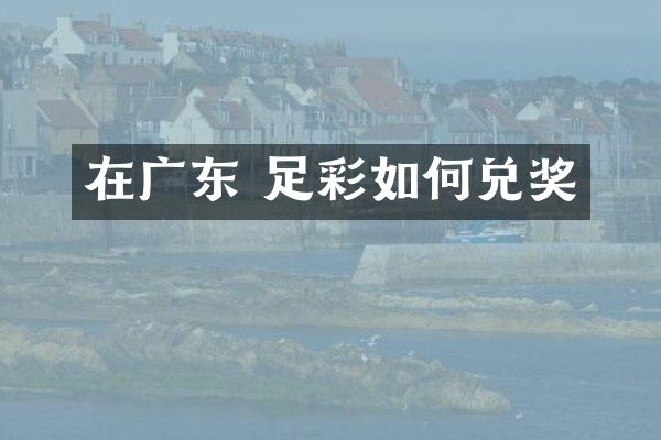 在广东 如何兑奖