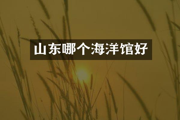 山东哪个海洋馆好