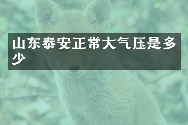 山东泰安正常大气压是多少