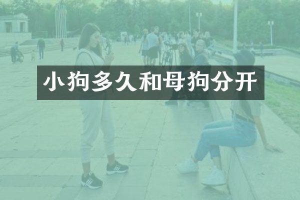 小狗多久和母狗分开