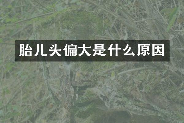 胎儿头偏大是什么原因