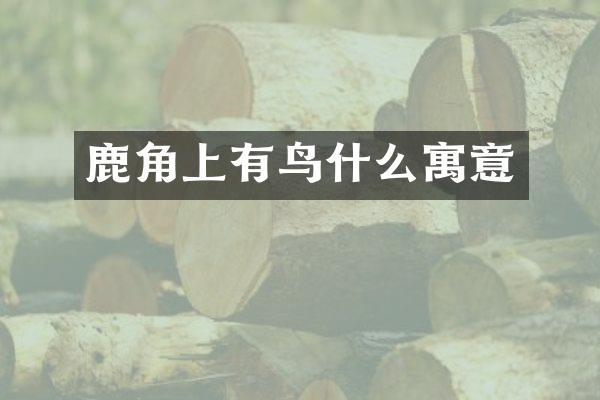 鹿角上有鸟什么寓意