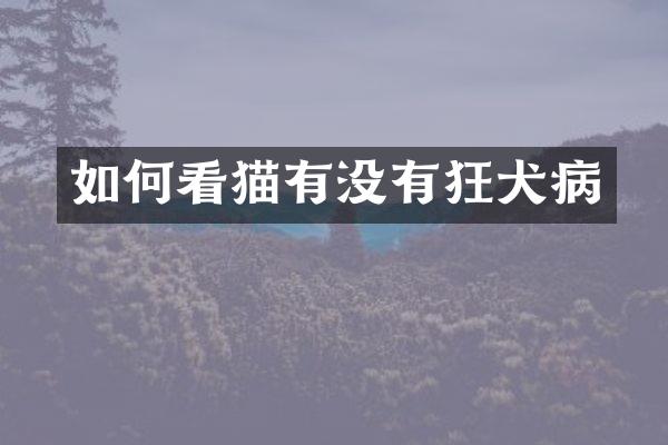 如何看猫有没有狂犬病