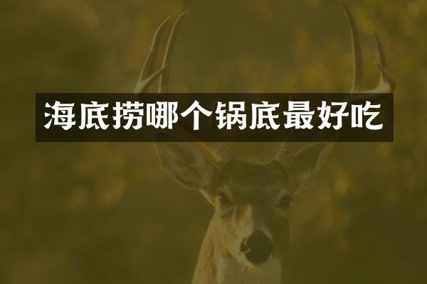 海底捞哪个锅底最好吃