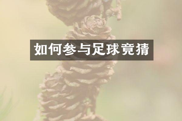 如何参与足球竟猜