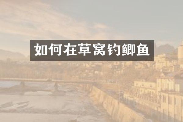 如何在草窝钓鲫鱼
