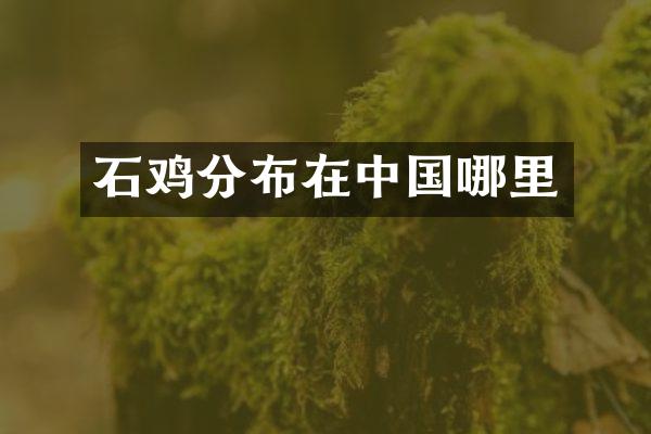 石鸡分布在中国哪里
