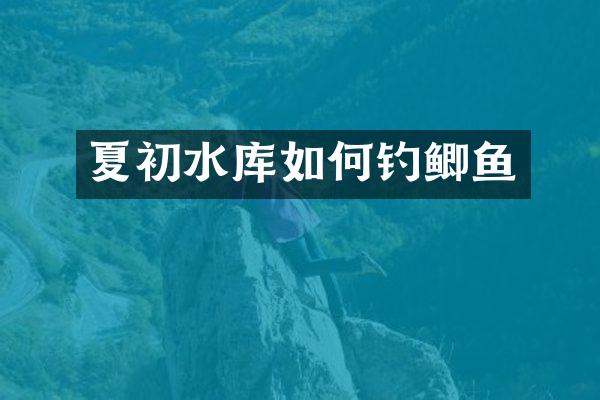 夏初水库如何钓鲫鱼