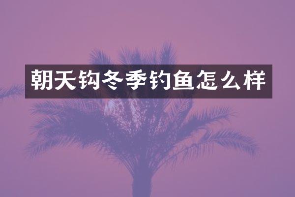 朝天钩冬季钓鱼怎么样