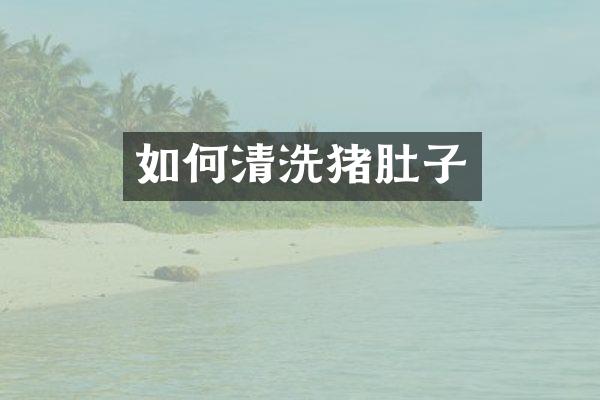 如何清洗猪肚子