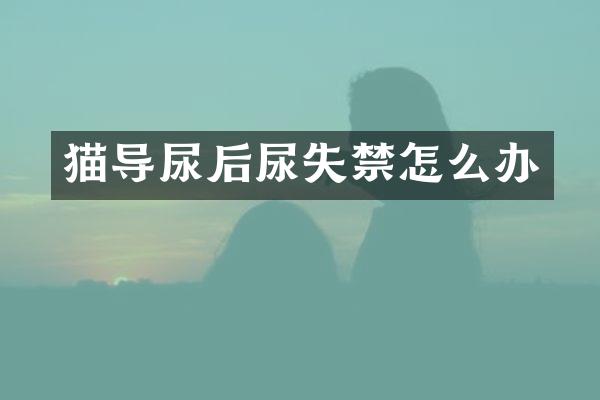 猫导尿后尿失禁怎么办