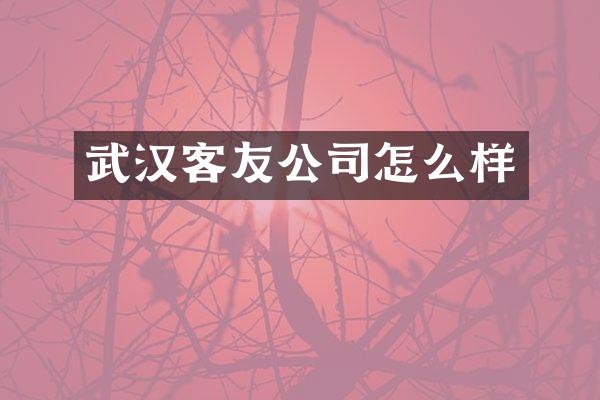 武汉客友公司怎么样