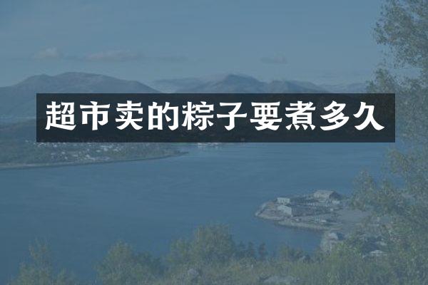 超市卖的粽子要煮多久