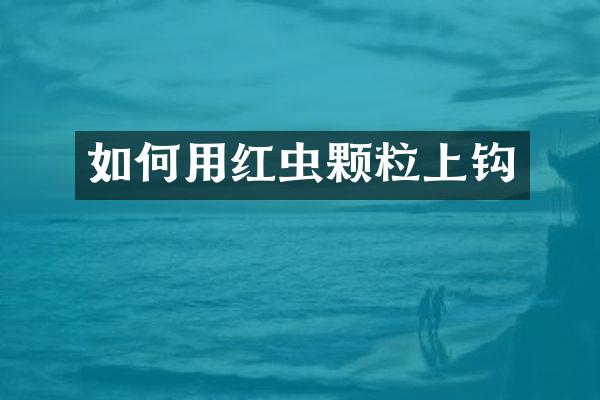 如何用红虫颗粒上钩