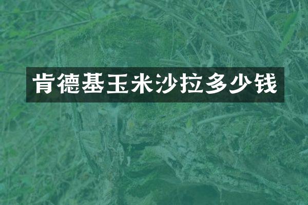 肯德基玉米沙拉多少钱