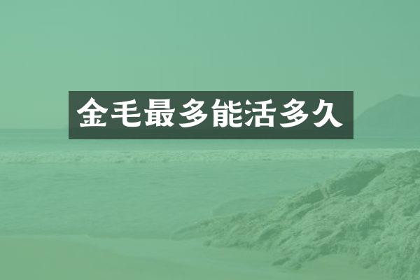 金毛最多能活多久