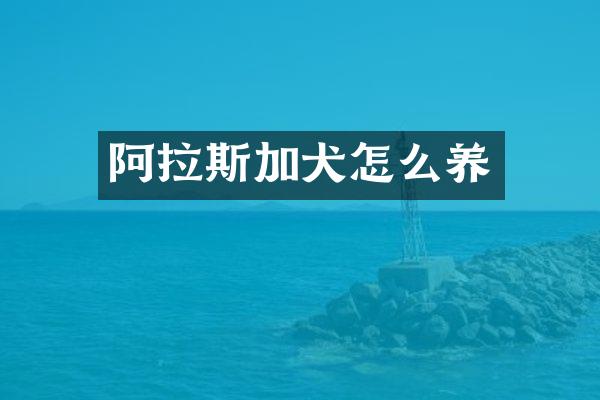 阿拉斯加犬怎么养