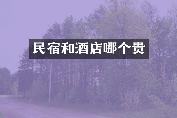 民宿和酒店哪个贵
