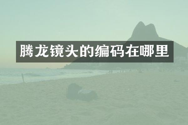 腾龙镜头的编码在哪里