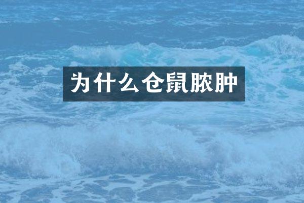 为什么仓鼠脓肿