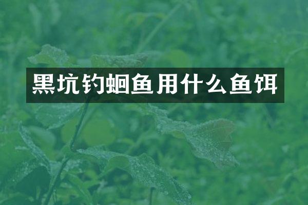 黑坑钓蛔鱼用什么鱼饵