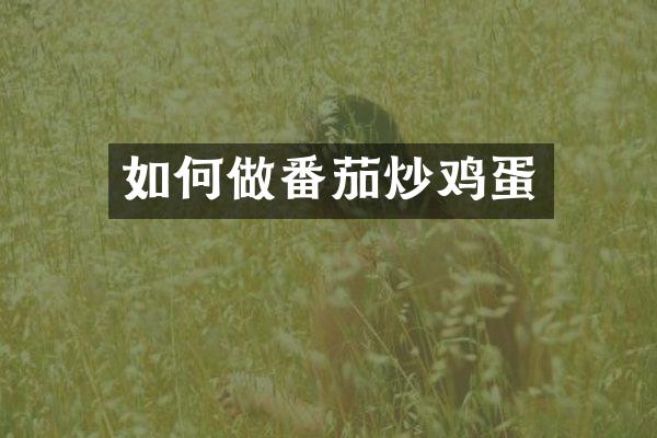 如何做番茄炒鸡蛋