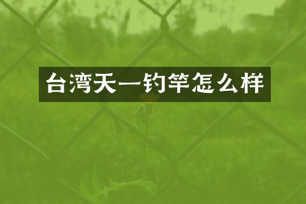 台湾天一钓竿怎么样