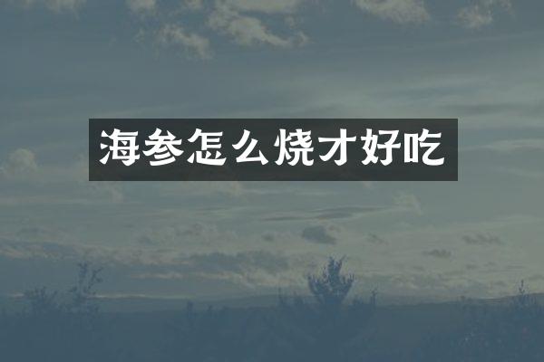 海参怎么烧才好吃