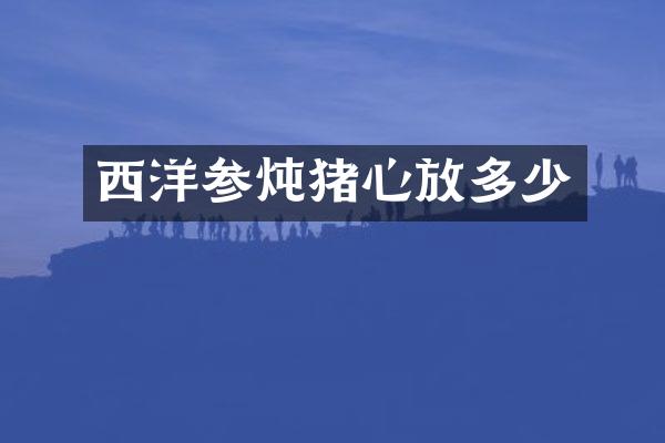西洋参炖猪心放多少