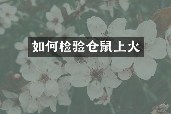 如何检验仓鼠上火