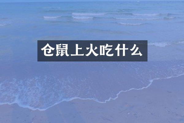 仓鼠上火吃什么