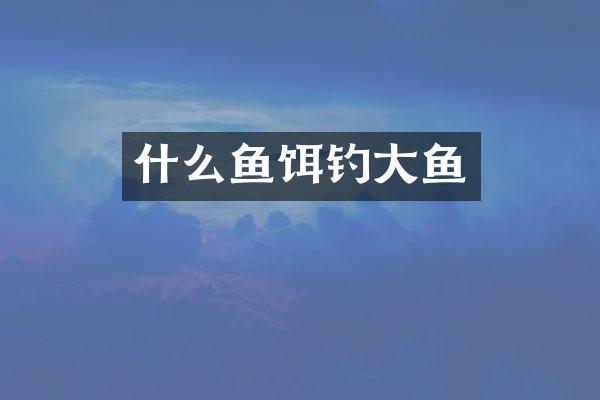 什么鱼饵钓大鱼