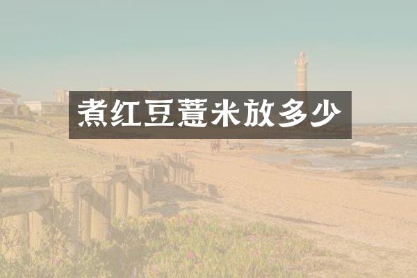 煮红豆薏米放多少