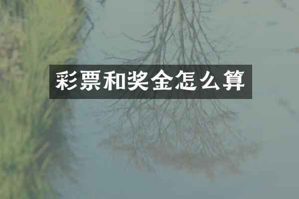 彩票和奖金怎么算