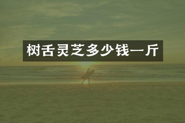 树舌灵芝多少钱一斤