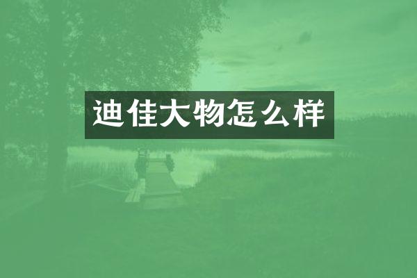 迪佳大物怎么样