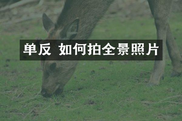 单反 如何拍全景照片