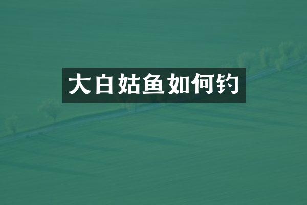 大白姑鱼如何钓