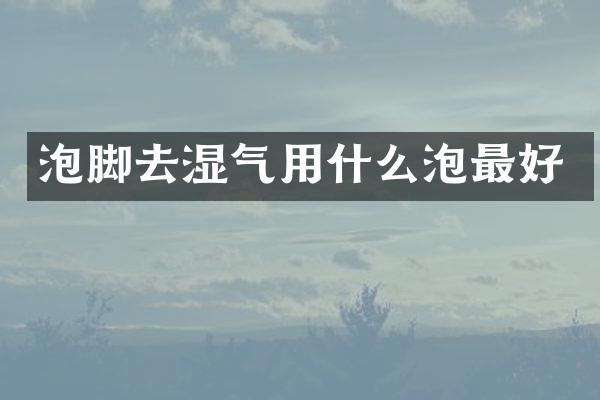 泡脚去湿气用什么泡最好