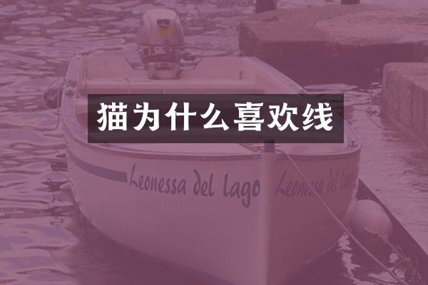 猫为什么喜欢线