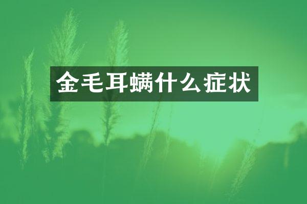 金毛耳螨什么症状