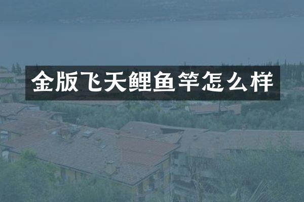 金版飞天鲤鱼竿怎么样